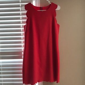 J.Crew scalloped dress